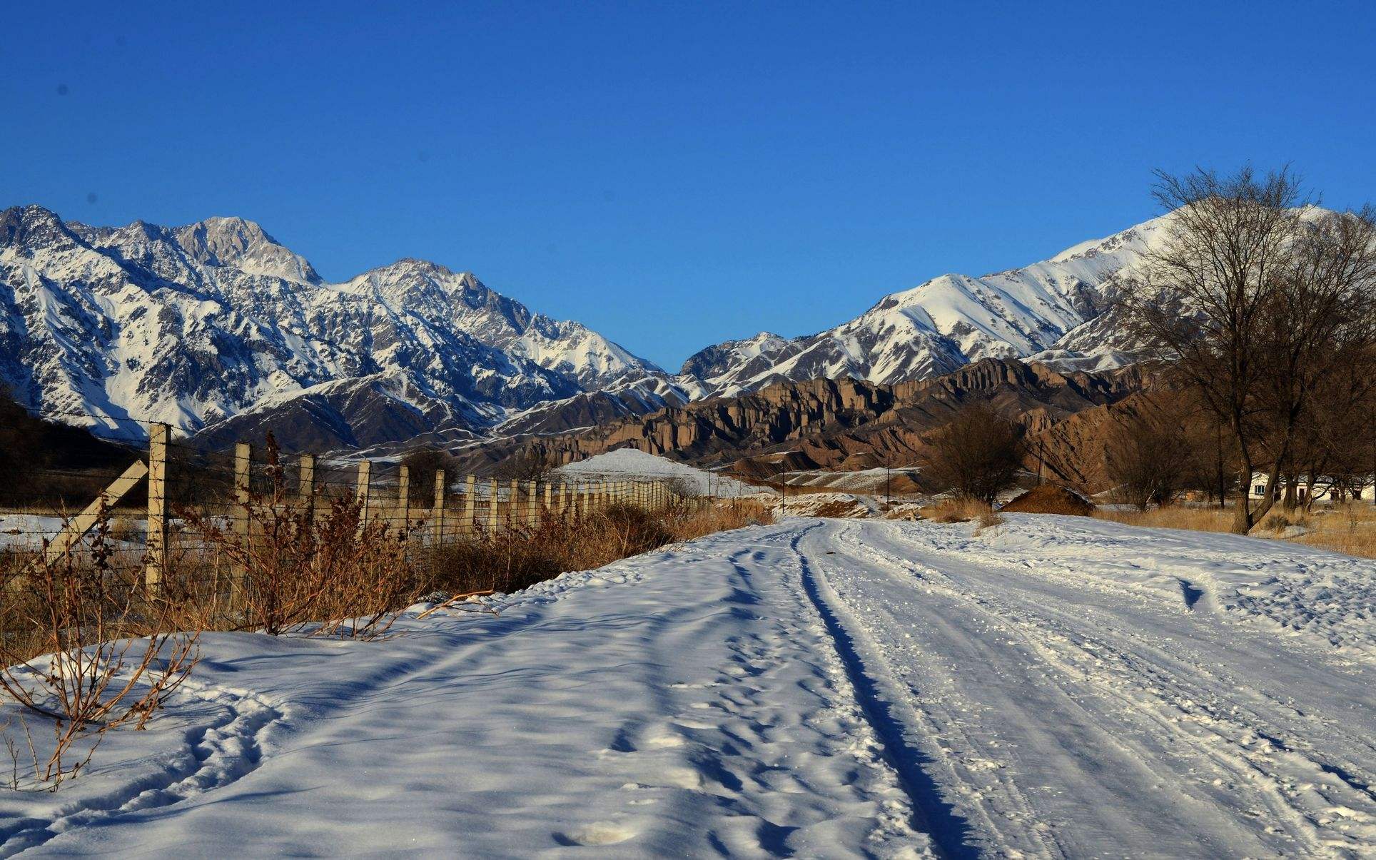 西伯利亚对俄罗斯到底有多重要？